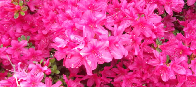Physical and spiritual Spring Cleaning Physical and spiritual Spring Cleaning